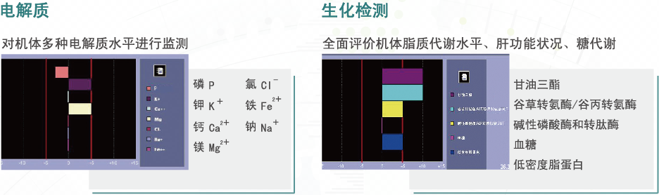 (ddfao)人体功能扫描仪(全身健康扫描